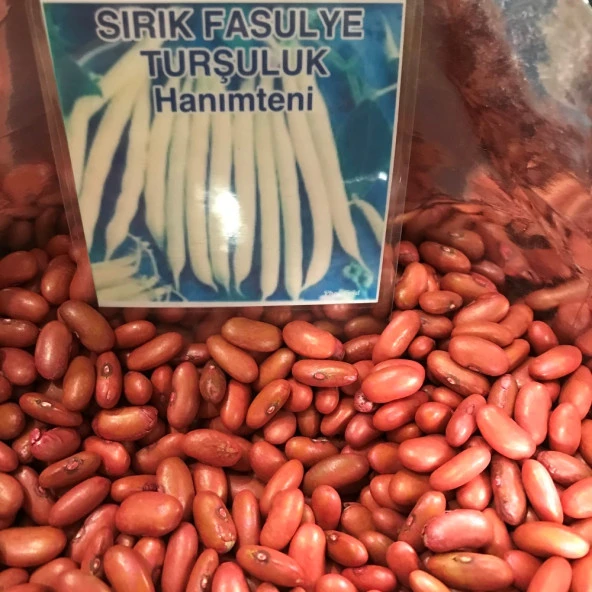 YERLİ TURŞULUK SIRIK FASULYE TOHUMU 100 GR (HANIMTENİ)