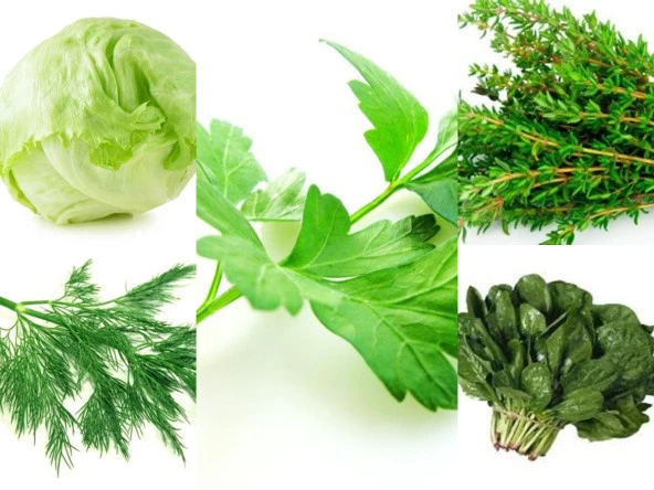 YERLİ 5 ÇEŞİT KIŞLIK TOHUM SETİ NO-5 ORT 500 AD TOHUM ürün görseli 1