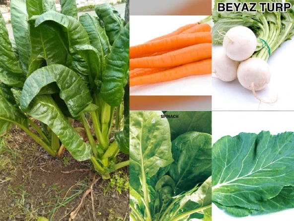 YERLİ 5 ÇEŞİT KIŞLIK TOHUM SETİ NO-1 ORT 500 AD TOHUM ürün görseli 1