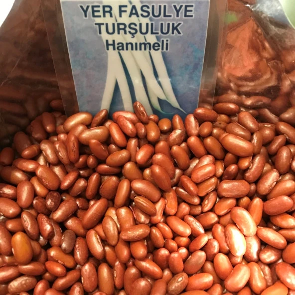 YERLİ TURŞULUK OTURAK FASULYE TOHUMU 100 GR (HANIMELİ) ürün görseli 1