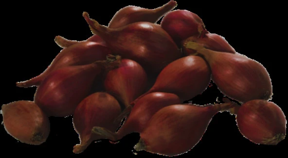 YERLİ ARPACIK SOĞAN 4 NUMARA (1 KG) - Resim 3