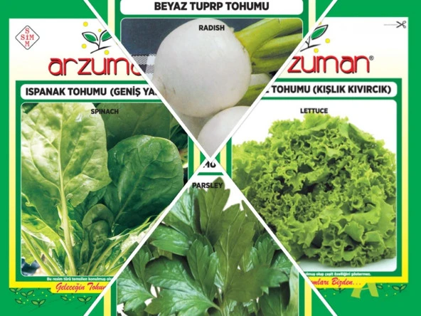 ISPANAK -BEYAZ TURP-KIŞLIK KIVIRCIK MARUL-MAYDANOZ 4'LÜ TOHUM SETİ ürün görseli 1