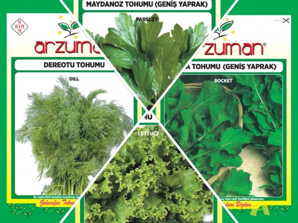 DEREOTU-ROKA-KIVIRCIK MARUL-MAYDANOZ 4'LÜ TOHUM SETİ ürün görseli 1