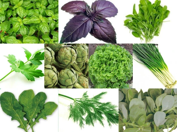 YERLİ 10 ÇEŞİT YEŞİLLİK TOHUM SETİ-3 ORT 3150 AD+GÜBRE ürün görseli 1