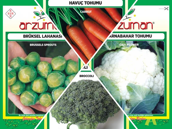 KARNABAHAR - BROKOLİ - BRÜKSEL LAHANASI - HAVUÇ 4'LÜ TOHUM SETİ ürün görseli 1