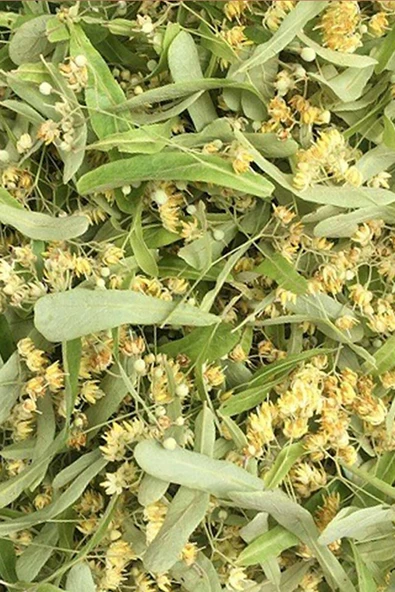 Ihlamur 1 kg (1000 gr) -  ( Doğal Kurutulmuş, Elenmiş, Katkısız ) - 3