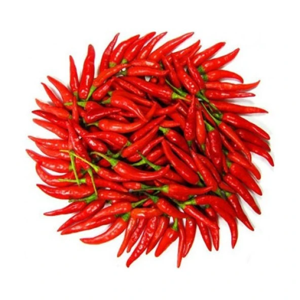 ÇOK ACI MACAR BİBERİ TOHUMU 100 ADET ürün görseli 1