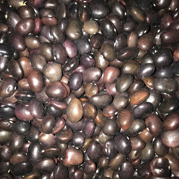 YERLİ UZUN ENLİ TURŞULUK SIRIK FASULYE TOHUMU 500 GR (MOR) ürün görseli 1