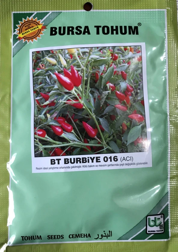 BİBER TOHUMU BURBİYE (SÜS BİBERİ OVAL ACI) 25 GR ORT 3000 ADET ürün görseli 1