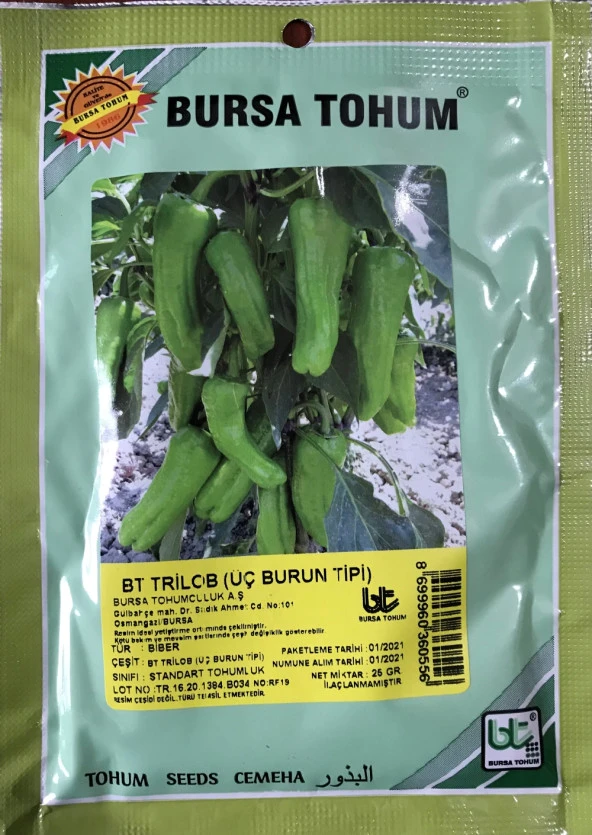 BİBER TOHUMU TRİLOB ÜÇ BURUN 25 GR ORT3000 ADET TOHUM) ürün görseli 1