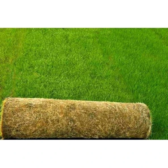 ÇİM TOHUMU 4 LÜ KARIŞIM 1 KG ürün görseli 1