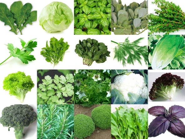 YERLİ 20 ÇEŞİT TOHUM SETİ-3 ORT 4800 AD+GÜBRE ürün görseli 1