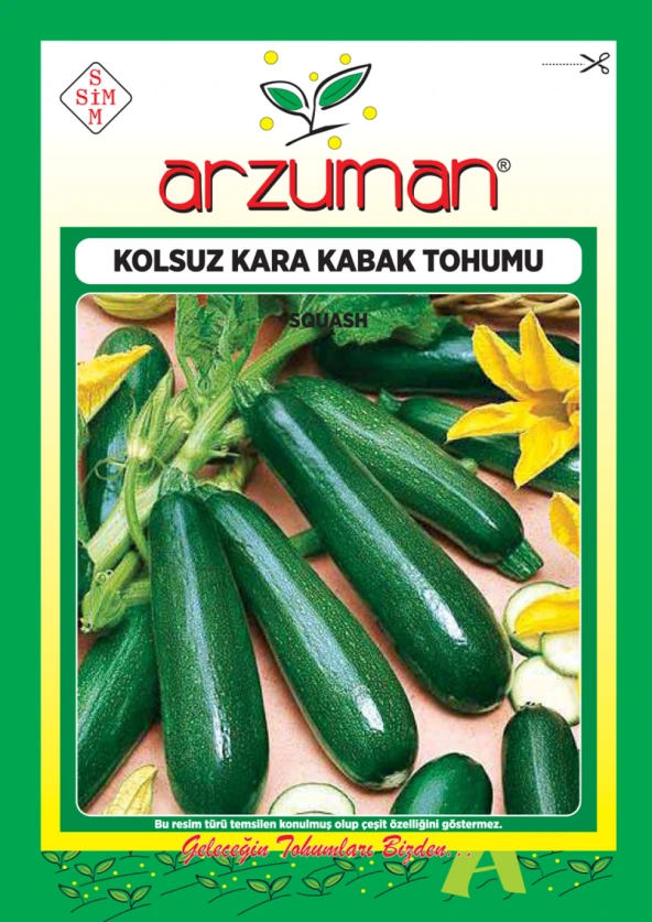 KOLSUZ KARA KABAK TOHUMU 10 GR ORT 75 AD TOHUM ürün görseli 1