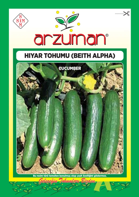 BEİTH ALPHA SALATALIK TOHUMU 10 GR ORT 300 AD TOHUM ürün görseli 1