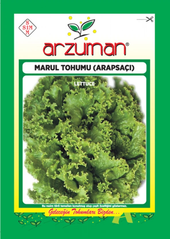 ARAPSAÇI KIVIRCIK MARUL TOHUMU 10 GR ORT 7500 AD TOHUM