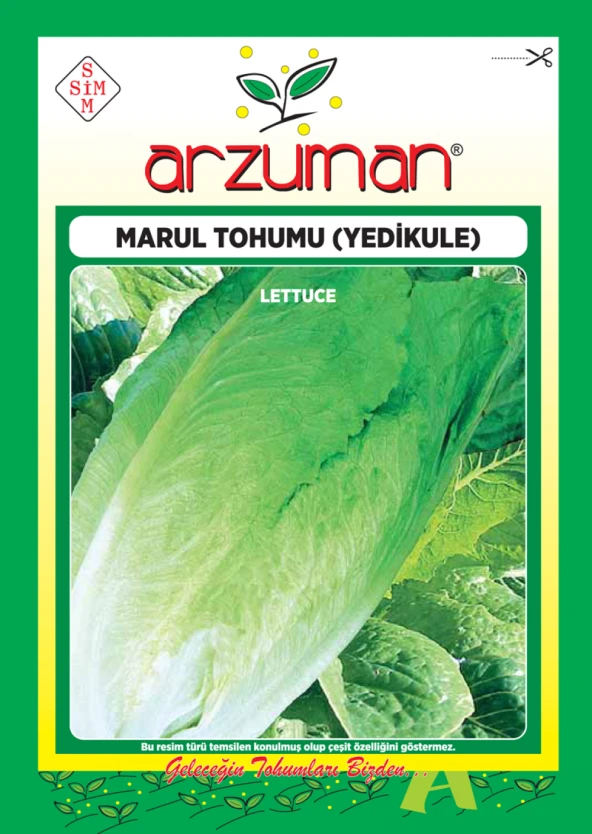 YEDİKULE MARUL TOHUMU 10 GR ORT 7500 AD TOHUM ürün görseli 1