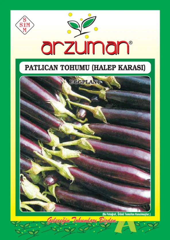 HALEP KARASI PATLICAN TOHUMU 10 GR ORT 2000 AD TOHUM - 1