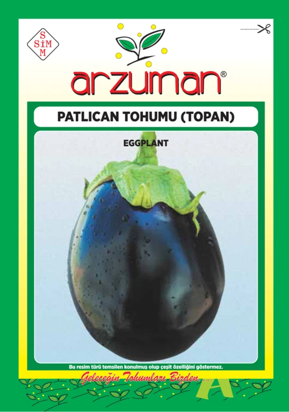 TOPAN PATLICAN TOHUMU 10 GR ORT 2000 AD TOHUM