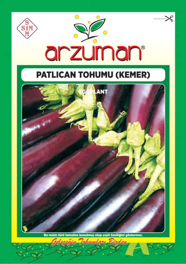 KEMER PATLICAN TOHUMU 10 GR ORT 2000 AD TOHUM ürün görseli 1