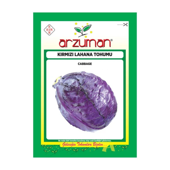 KIRMIZI MOR LAHANA TOHUMU 10 GR ORT 2000 AD TOHUM ürün görseli 1