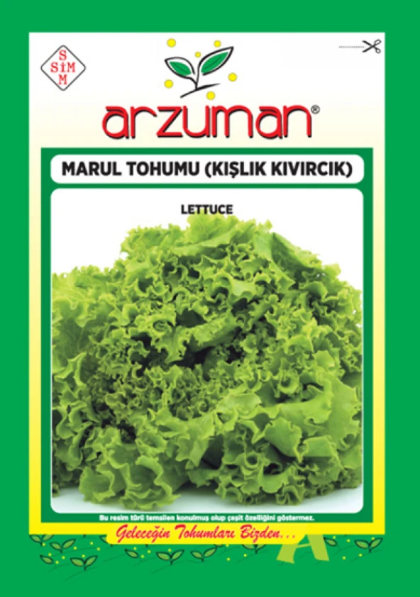 KIŞLIK KIVIRCIK MARUL TOHUMU 10 GR ORT 7500 AD TOHUM ürün görseli 1