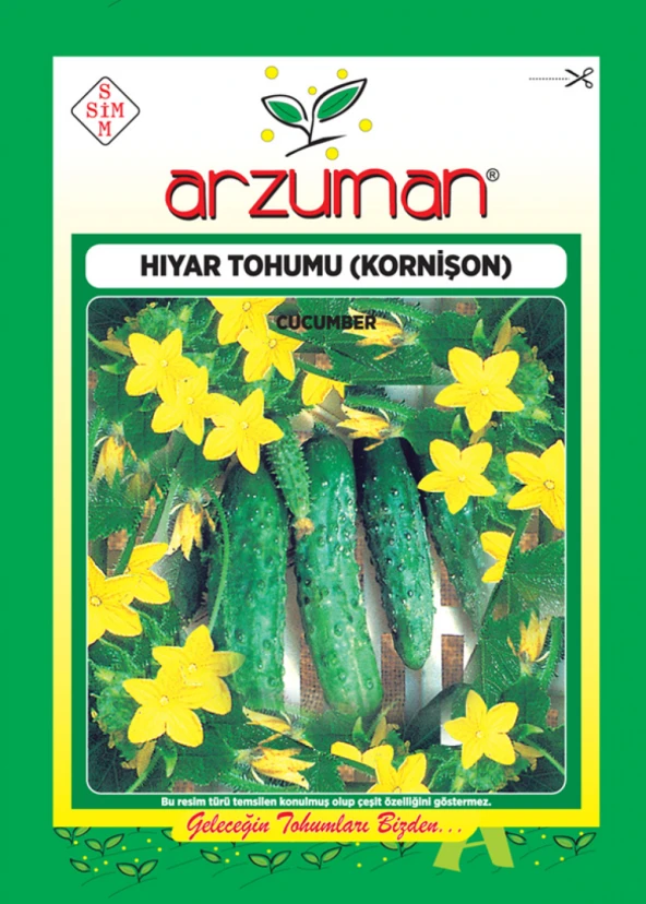 KORNİŞON SALATALIK TOHUMU 100 AD TOHUM ürün görseli