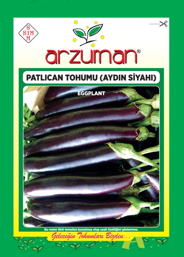 AYDIN SİYAHI PATLICAN TOHUMU 10 GR ORT 2000 AD TOHUM ürün görseli 1