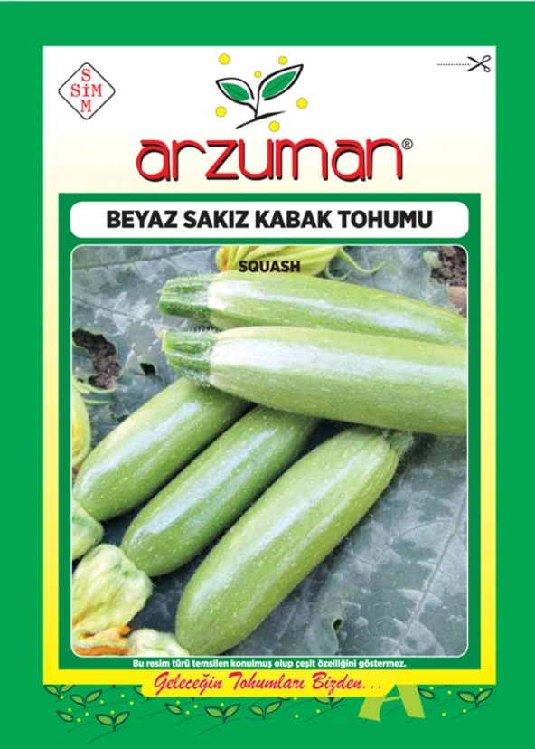 BEYAZ SAKIZ KABAK TOHUMU 10 GR ORT 75 AD TOHUM ürün görseli 1