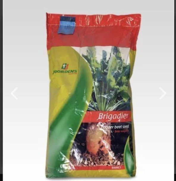 HAYVAN PANCARI-YEMLİK PANCAR TOHUMU 1000 GR - Resim 2