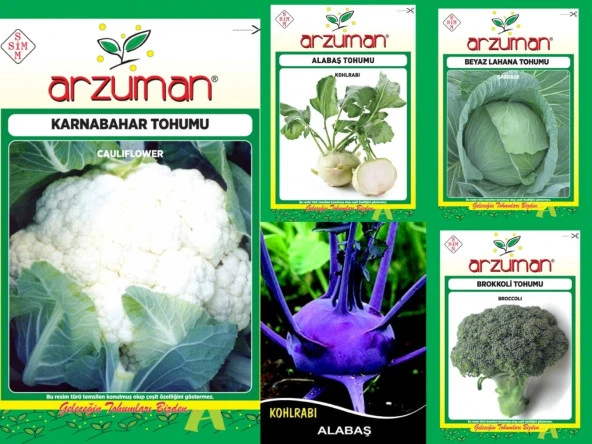 MOR ALABAŞ-BEYAZ ALABAŞ-KARNABAHAR-BROKOLİ-BEYAZ LAHANA 5'Lİ TOHUM SETİ ürün görseli 1