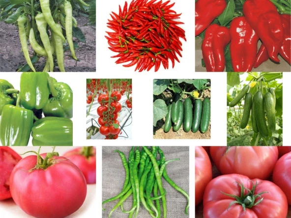 Yerli 10 Çeşit Sebze Tohumu Seti Ort 625 Ad Tohum+Gübre - Mix 3 ürün görseli