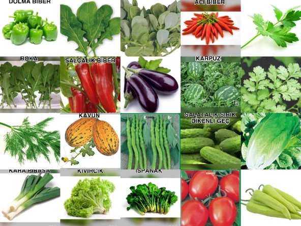 YERLİ 20 ÇEŞİT TOHUM SETİ-1 ORT 4500 AD+GÜBRE ürün görseli 1