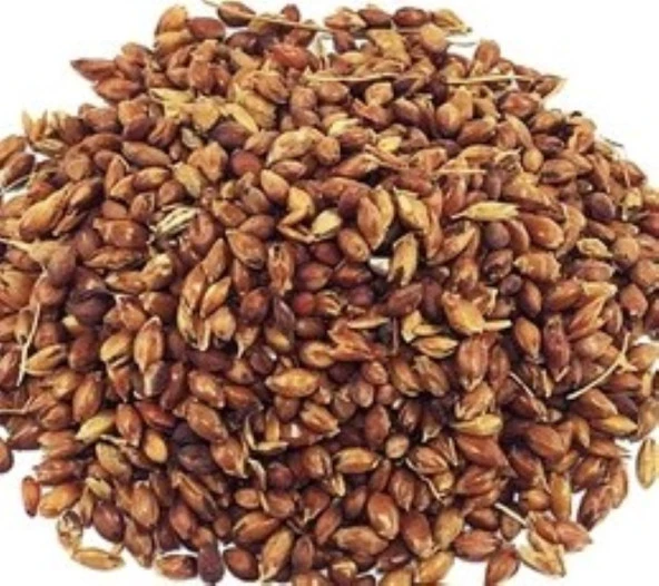 Yerli Süpürge Otu Tohumu 25 Gr ürün görseli 1