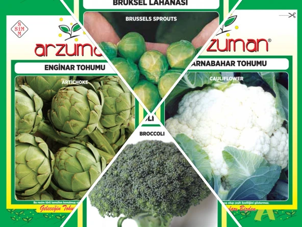 BROKOLİ-KARNABAHAR-BRÜKSEL LAHANASI-ENGİNAR 4'LÜ TOHUM SETİ ürün görseli