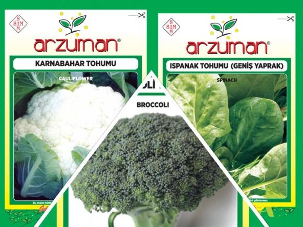 KARNABAHAR-BROKOLİ-ISPANAK 3'LÜ TOHUM SETİ ürün görseli 1