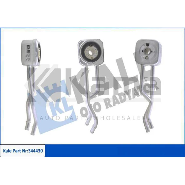 036117021G-036117021E YAĞ SOĞUTUCUSU VW GOLF-4 / BORA / AUDI A3 / SEAT TOLEDO (BCB/1.6 16V) 01-04 İTHAL ürün görseli