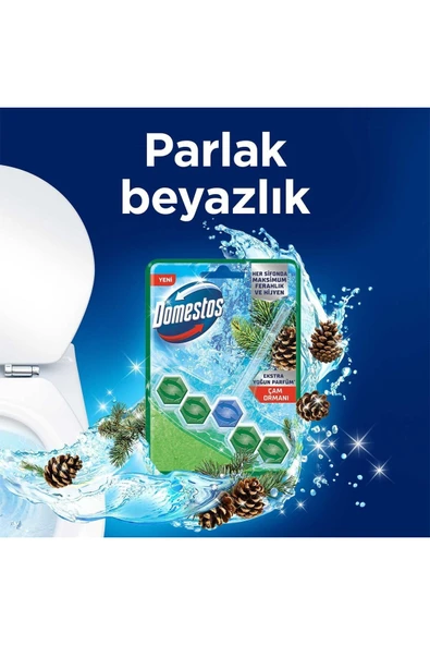 Domestos Tuvalet Bloğu Çam Ferahlığı 50 gr - 2