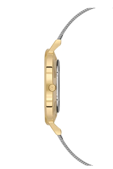 SAFİR CAM GÜMÜŞ KADIN KOL SAATİ NC17-3920718-CSMS - Resim 2