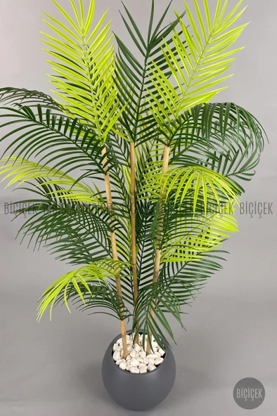 BİÇİÇEK 120cm Areka Ağacı 24 yapraklı Küre Saksıda - 9