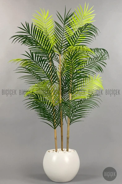 BİÇİÇEK 120cm Areka Ağacı 24 yapraklı Küre Saksıda - 3