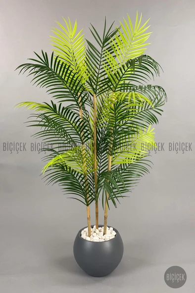 BİÇİÇEK 120cm Areka Ağacı 24 yapraklı Küre Saksıda - 12