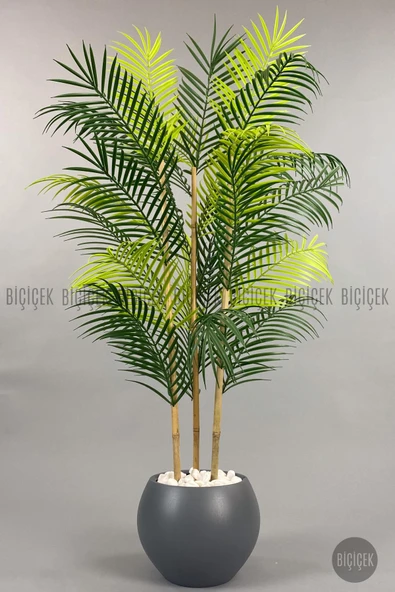 BİÇİÇEK 120cm Areka Ağacı 24 yapraklı Küre Saksıda - 8