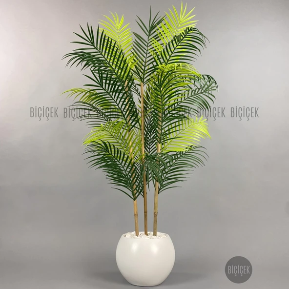 BİÇİÇEK 120cm Areka Ağacı 24 yapraklı Küre Saksıda - 7
