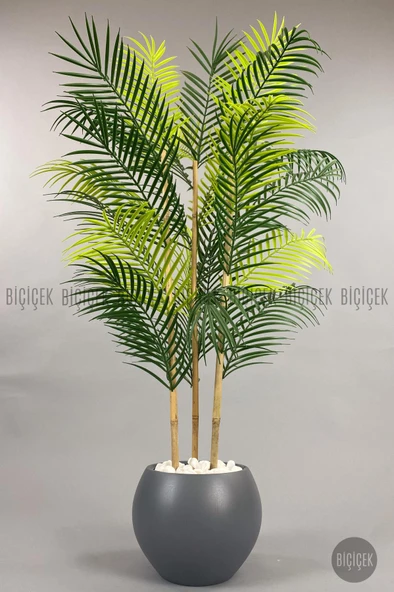 BİÇİÇEK 120cm Areka Ağacı 24 yapraklı Küre Saksıda - 11