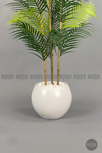 BİÇİÇEK 120cm Areka Ağacı 24 yapraklı Küre Saksıda - 6