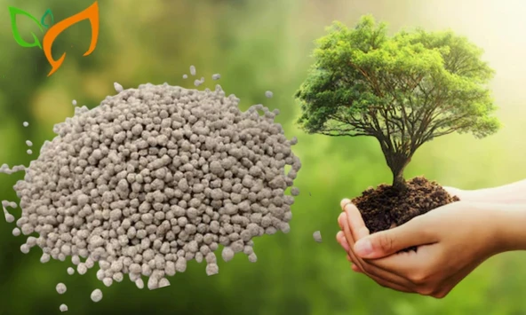 Kompoze Gübre 15 15 15 NPK Süper Kompoze Gübre (3x15) - 5 KG - 2