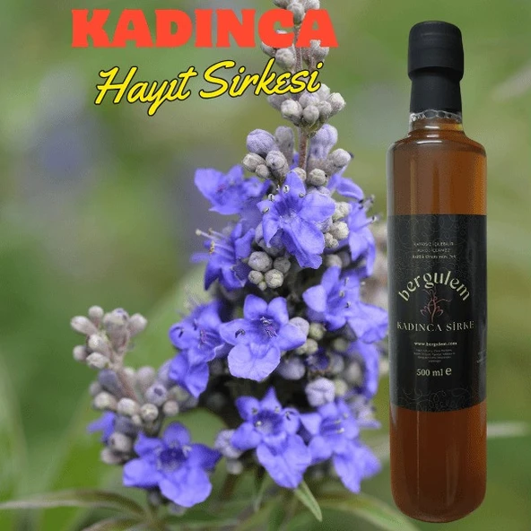 Neşe Natural Bergulem Kadınca Hayıt Sirkesi 500 ml - 2