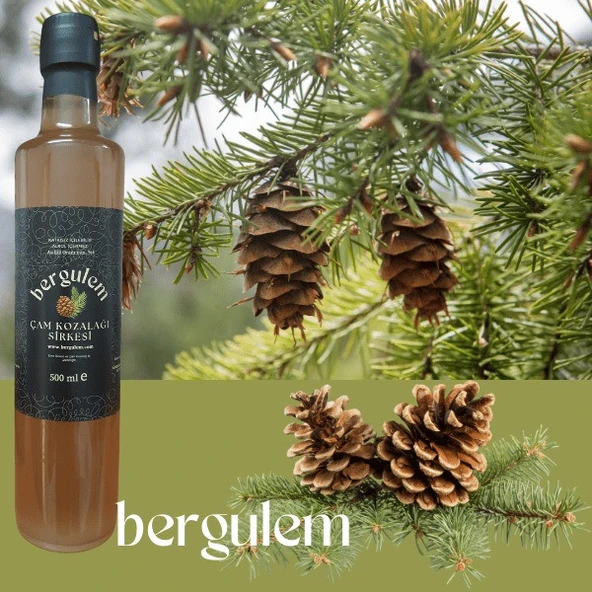 Neşe Natural Bergulem Çam Kozalağı Sirkesi 500 ml