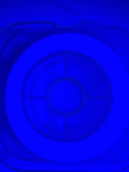 Eagenset Organze İp Çapari İpi Ultraviyole Uv Neon Beyaz Moraran Gizli Mor Makara - 5