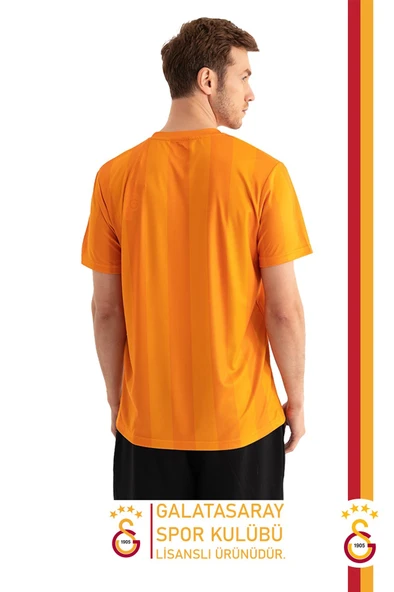 Galatasaray Orijinal Lisanslı Match Day T-Shirt Gs Aslan Baskılı Hediyelik Ahşap Kutulu - Resim 3